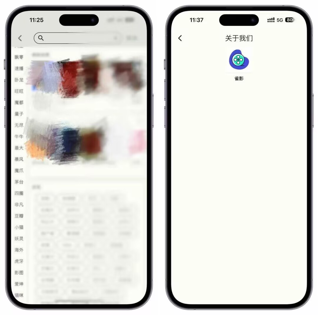 雀影 影视 截图 2