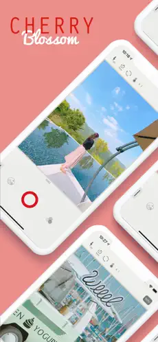 Blossom 截图 1