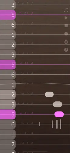 iGuzheng⁺ 截图 1