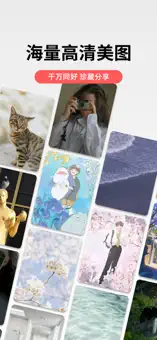 堆糖解锁会员 截图 1