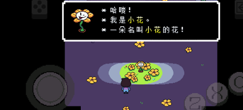 传说之下bnp版 截图 2