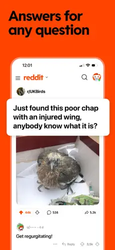 Reddit 截图 3