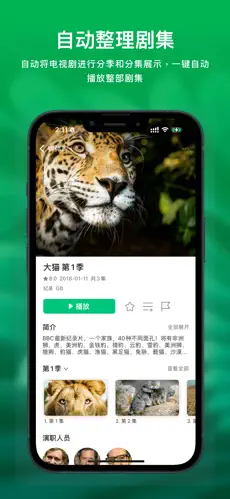 VidHub 截图 2