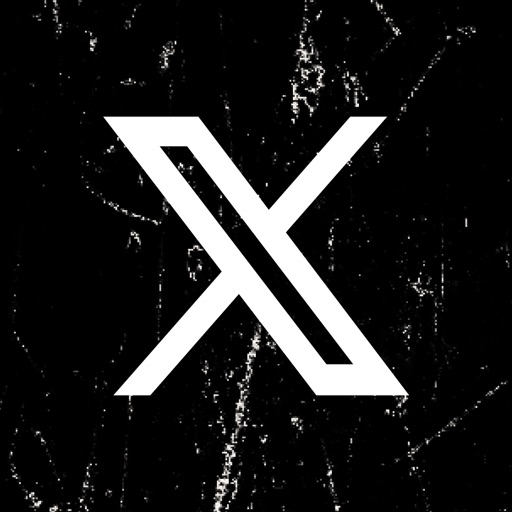 X 截图 1