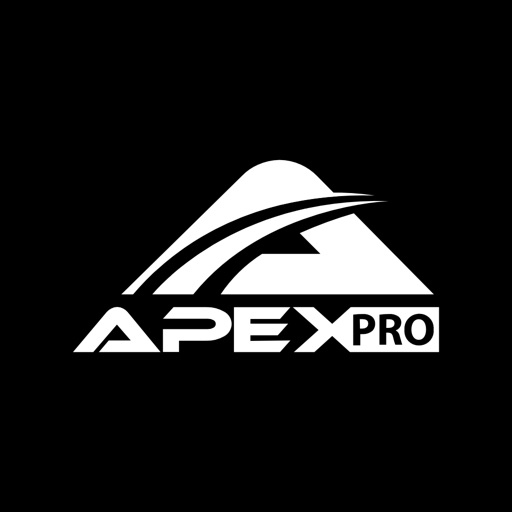 APEX赛车手